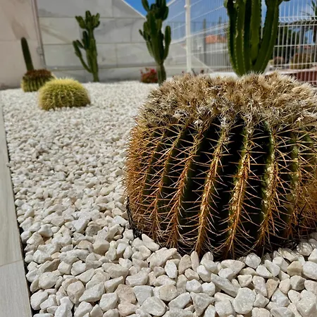 San Eugenio Charming Renovated Tenerife Costa Adeje (Tenerife)